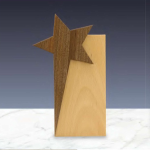 CR-53 Star Design Wooden Trophy Award