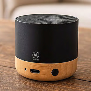 SALIENT Bamboo Speaker – HK0451